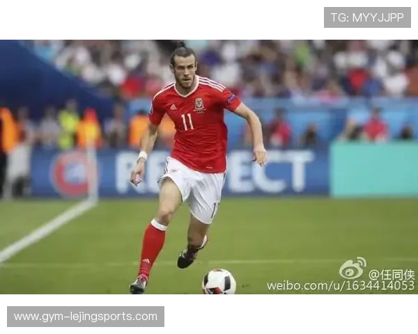 美国足球球员2号背后的传奇故事与精彩瞬间解析